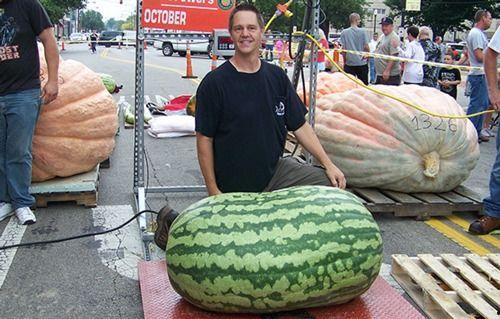 吃大瓜吃吐,尽享美味却吐感连连的奇妙体验