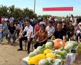 吃瓜群众南阳邓州,吃瓜群众眼中的地方风情