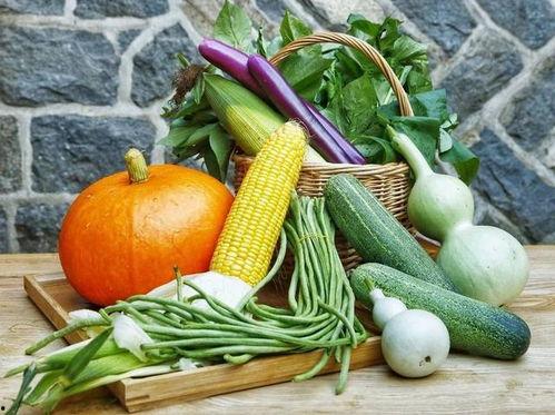 山茶吃瓜小说,一场穿越时空的甜蜜误会