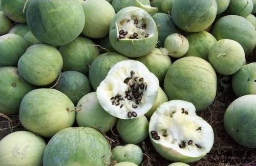 吃瓜来源,探寻网络舆论的真相与影响