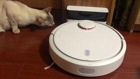 吃瓜的机器视频,视频背后的科技与娱乐魅力