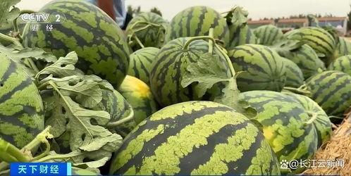 地位高低从吃瓜上看出来,吃瓜群众地位高低的微妙体现