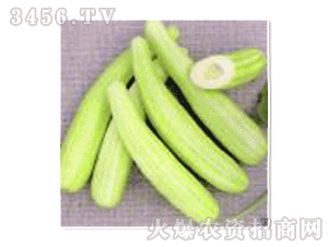 青筋白瓜怎么吃,解锁健康美味新体验