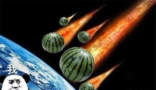 人鱼吃瓜,一场奇幻的美食之旅