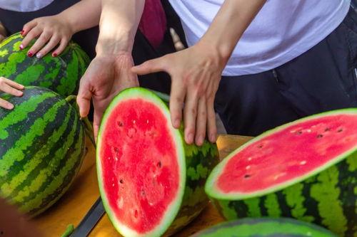 吃瓜最多的学校,揭秘吃瓜最多的校园风云录