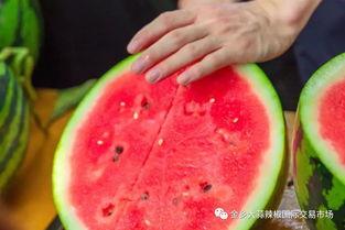 吃瓜最多的学校,揭秘吃瓜最多的校园风云录