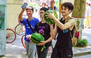 吃瓜最多的学校,揭秘吃瓜最多的校园风云录