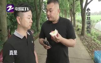 小霸王吃瓜视频,揭秘娱乐圈幕后故事