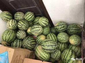 维维吃瓜视频,揭秘娱乐圈幕后故事