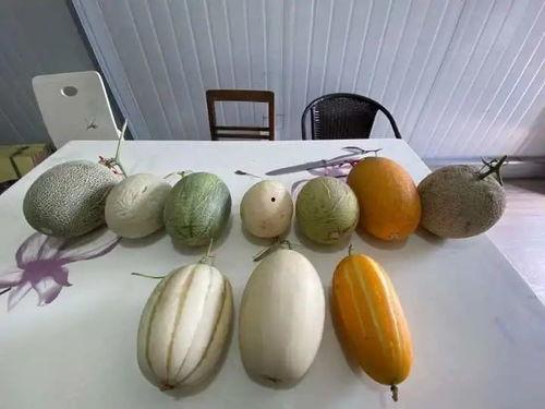 杭州718吃瓜,一场网络热议的“吃瓜”盛宴