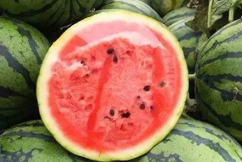 吃瓜掉身上了,一场网络爆红的奇幻之旅