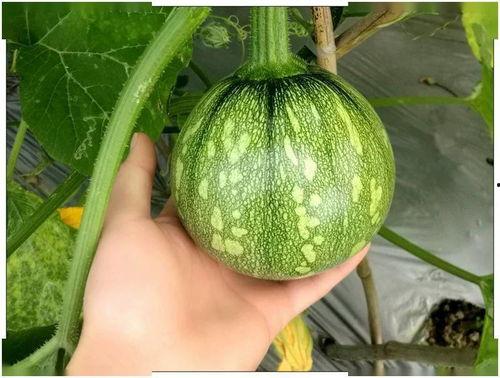 小烈火吃瓜,揭秘娱乐圈那些不为人知的幕后故事