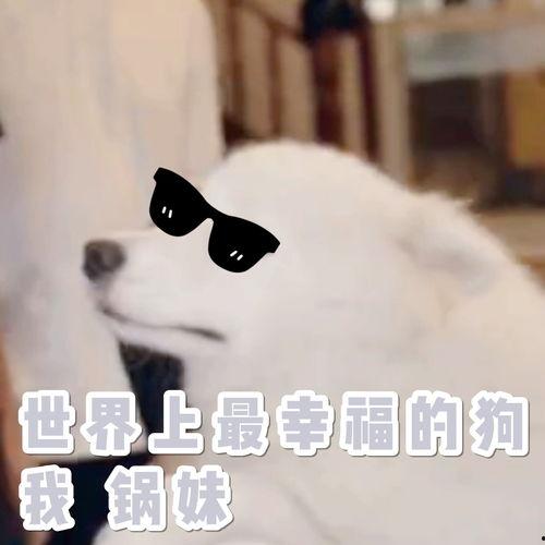 买了麻瓜不会吃,轻松学会享受麻瓜美食