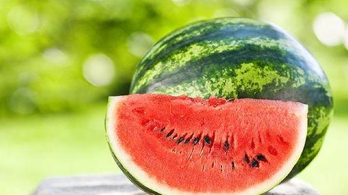 可以吃瓜吗减肥