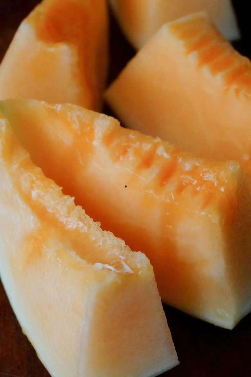 甘肃游客吃蜜瓜视频,游客品尝甜蜜之旅