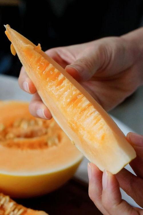 甘肃游客吃蜜瓜视频,游客品尝甜蜜之旅