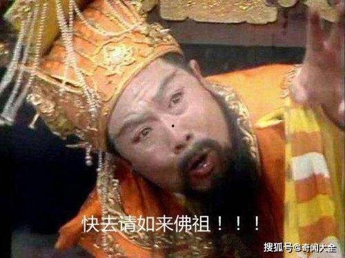 悲喜吃瓜大帝,揭秘宫廷风云中的趣味人生