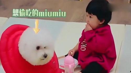 剪头发吃瓜,解锁夏日清爽新风尚